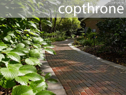 copthrone unilock paver