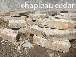 canadian chapleau cedar outcroppings